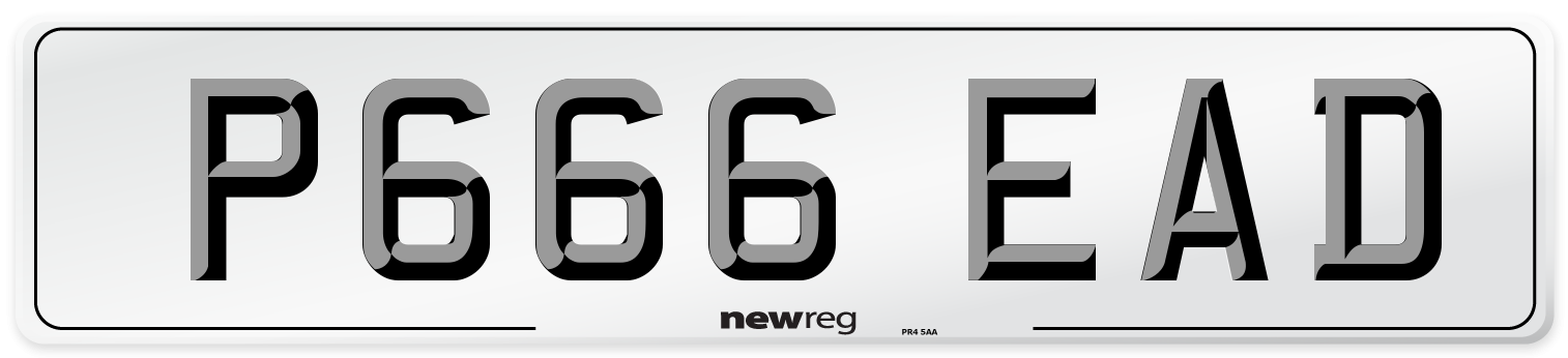 P666 EAD Number Plate from New Reg